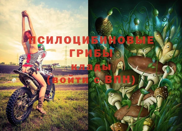 mix Алексин