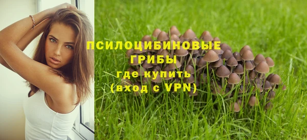 а пвп мука Алексеевка