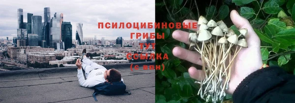 а пвп мука Алексеевка